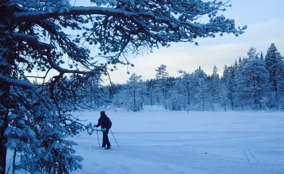 Fra Ringkollen i desember 2001