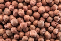 2025 blir et nytt år uten Ringerikspotet