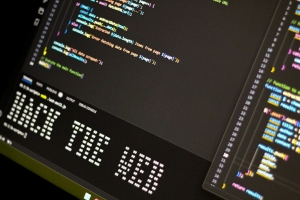 Tyske myndigheter stengte serverne til globalt utpressingsnettverk