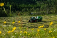 Norge får stadig færre og stadig større gårdsbruk.