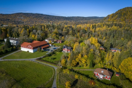 Haukland sier hun tryglet kronprinsparet: – Ser dere ikke at han trenger hjelp?