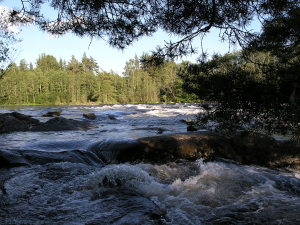 Randselva er ikke så uskyldig som den ser ut som