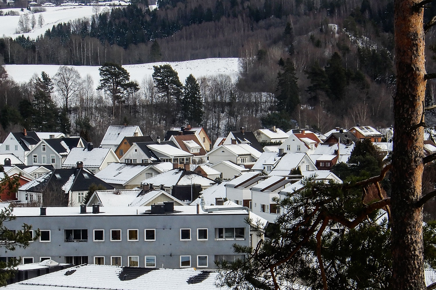 Omsetning av eiendommer i Ringerike kommune i uke 52