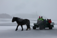 Se bildene fra vinterfestivalen